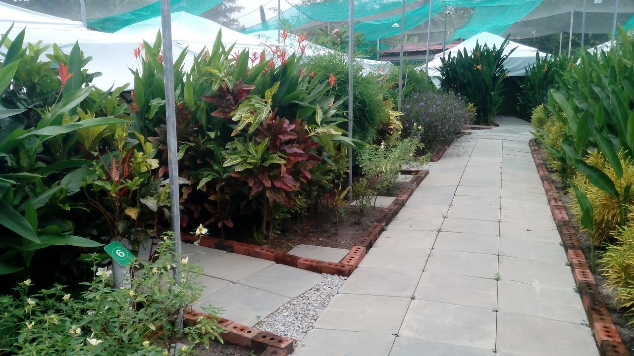 T Garden Villa Пантай Ченанг Екстериор снимка