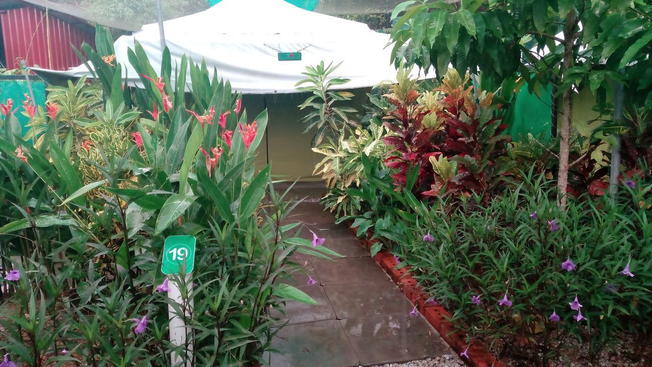 T Garden Villa Пантай Ченанг Екстериор снимка