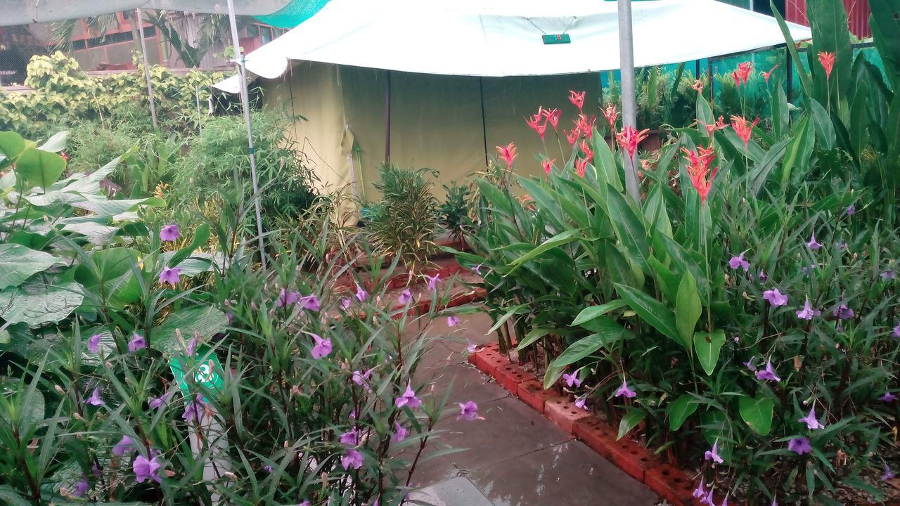 T Garden Villa Пантай Ченанг Екстериор снимка